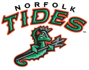 Norfolk Tides 2016-Pres Alternate Logo v2 iron on transfers for clothing
